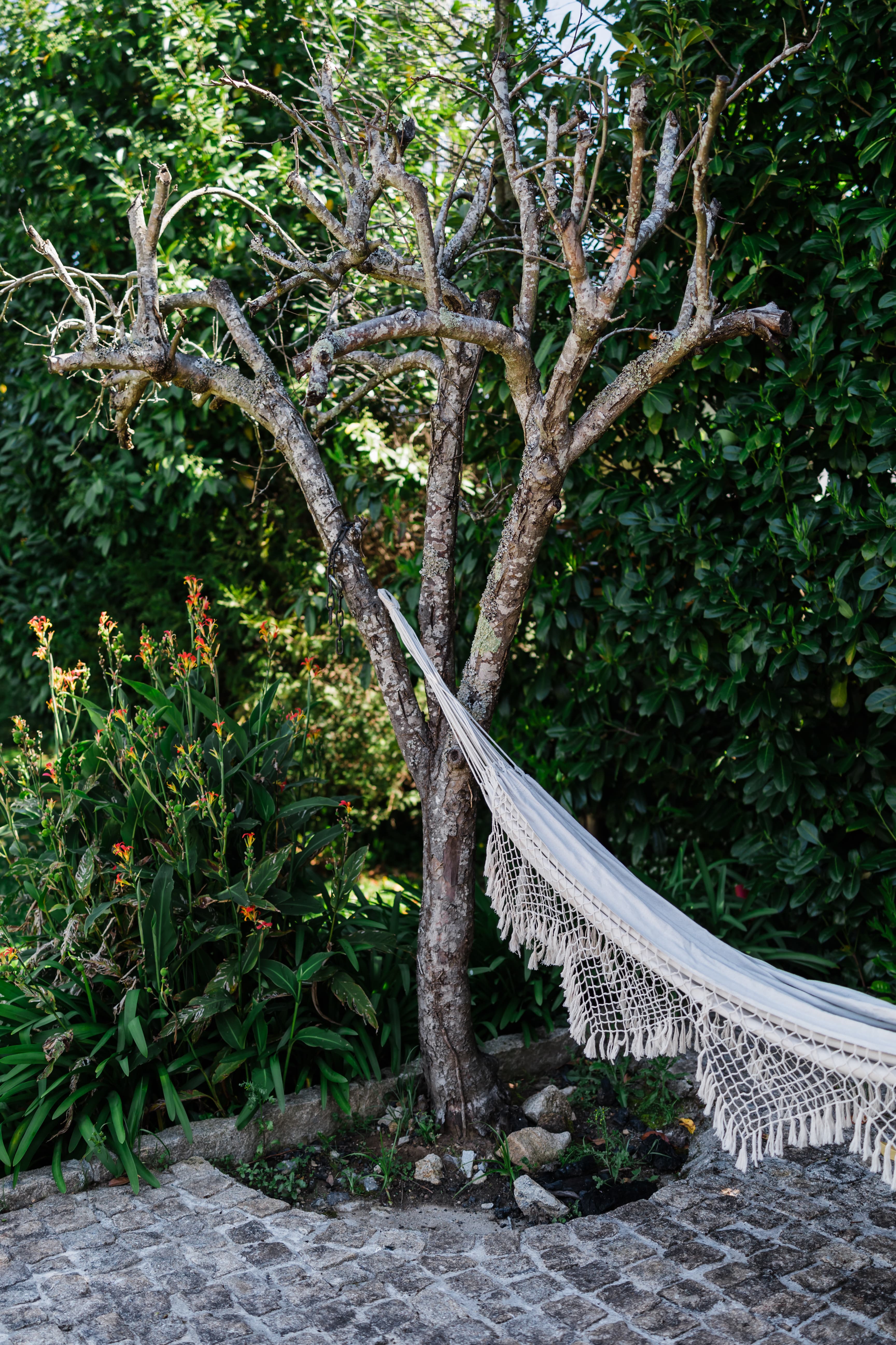 Rede de descanso no jardim